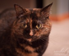 Day Thirty-five