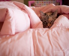 Day Fifty-nine