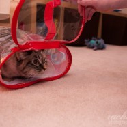 Day Sixty-two