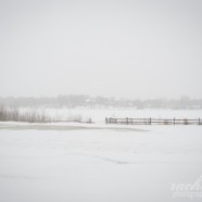 Day Eighty-two